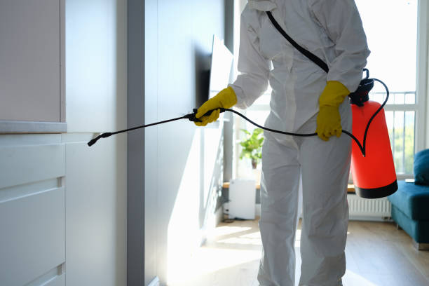 Professional Mold Remediation in Balmville, NY